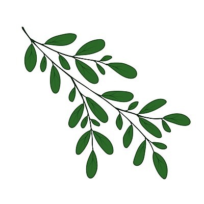 EPS 해외이미지 나무 식물 템플릿 디자인 과학 백그라운드 컨셉 잎 일러스트 자연 미술 그래픽 장식 초록색 여름 정원 봄 흰색 나뭇가지 플랫 만화 수집 허브 심볼 사인 유기농 생물학 심플 윤곽 손그림 내추럴 고립 바이오 생태학 엘리먼트 벡터 해외202309 해외일러스트 웰빙 계절 교육 컬러 문화예술 생태계 파일형식