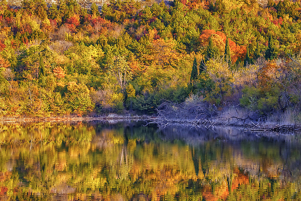 포토 JPG 해외이미지 나무 계절 공원 호수 컬러 여행 백그라운드 잎 오렌지 자연 휴식 산 사람없음 야외 건물 가로 초록색 물 빛 컬러풀 뷰티 반사 노란색 평화 환경 놀람 활발 연못 신용카드 숲 언덕 10월 내추럴 해외202309 해외포토 자연요소 식물 건축물 공공시설 감정 컨셉 과일 표정 금융 날짜 생태계 파일형식