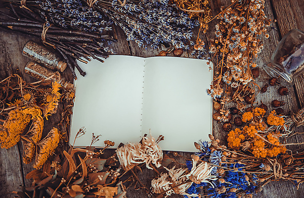 포토 JPG 해외이미지 꽃 사람없음 갈색 공책 약초 드라이플라워 카피스페이스 해외202309 해외포토 식물 컬러 문구용품 공백 풀_식물 파일형식