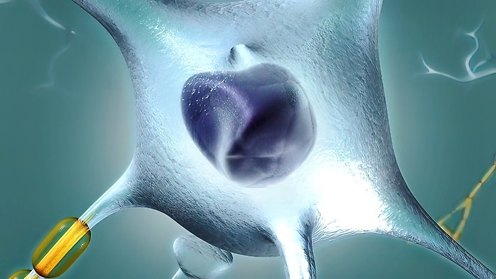 포토 JPG 해외이미지 과학 생각 해부 전등 아이디어 세포 건강 사람없음 신체부위 파란색 약 머리 건강관리 디지털 네트워크 투명 바이러스 DNA 집중 뇌 생물학 원자 복잡 지능 브레인스토밍 정확 해외202309 해외포토 교육 컬러 컨셉 의학 조명 관리 사람 생명공학 파일형식