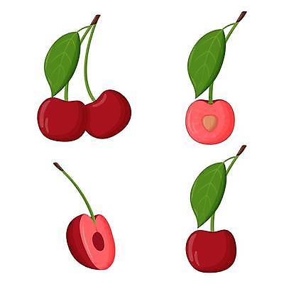 EPS 해외이미지 디자인 배너 음식 백그라운드 잎 다이어트 과일 일러스트 자연 추상 디저트 실내 건강 미술 씨앗 빨간색 여름 주스 신선 체리 플랫 달콤 맛 만화 먹기 심볼 그림 에코 유기농 슬라이스 비타민 내추럴 고립 숙성 채식주의자 벡터 미니멀리스트 비건 맛있는 해외202309 해외일러스트 식물 웰빙 계절 음료 컬러 컨셉 무늬 모션 문화예술 내부 환경 생태계 채식 영양소 파일형식