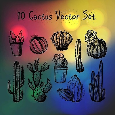 EPS 해외이미지 식물 손 꽃 잎 꽃무늬 패턴 채소 일러스트 자연 멕시코 선인장 미술 풍경 환경 정원 수확 벚꽃 직물 개화 가시 낙서 스케치 인도인 수집 허브 애리조나 스파이크 부족 내추럴 고립 다육식물 알로에 엘리먼트 텍사스 벡터 현실 해외202309 해외일러스트 외국인 컨셉 북아메리카 무늬 농업 문화예술 동양인 신체부위 미국 생태계 파일형식