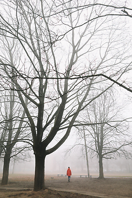 포토 JPG 해외이미지 나무 계절 공원 실루엣 도로 길 여행 단풍 잎 자연 하늘 아침 바람 날씨 한명 사람 풍경 야외 도시풍경 환경 어둠 새벽 산책 추위 안개 가을 고독 숲 신비 12월 11월 그림 장면 공상 10월 뿌연 혼자 미니멀 해외202309 해외포토 주간 자연요소 식물 1 공공시설 감정 컨셉 교통시설 휴식 촬영기법 도시 날짜 생태계 파일형식