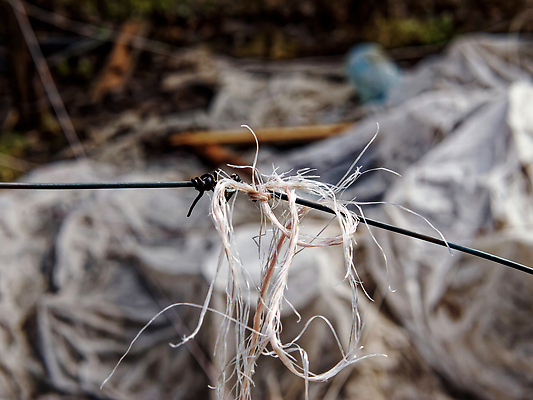 포토 JPG 해외이미지 나무 식물 계절 공원 열매 벽 백그라운드 잎 패턴 자연 벽지 포도 추상 프레임 사람없음 야외 목재 장식 빨간색 초록색 울타리 컬러풀 뷰티 갈색 환경 와인 정원 봄 성장 나뭇가지 거친 숲 질감 포도밭 포도나무 밀짚 내추럴 옛날 스타일 해외202309 해외포토 공공시설 컬러 무늬 밭 과일 재료 주류 담장 짚 과일나무 생태계 파일형식