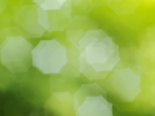 포토 JPG 해외이미지 나무 백그라운드 이동 잎 자연 벽지 추상 사람없음 아웃포커스 장식 초록색 빛 컬러풀 노란색 흰색 원형 보케 블러 해외202309 해외포토 도형 식물 컬러 컨셉 무늬 촬영기법 생태계 파일형식