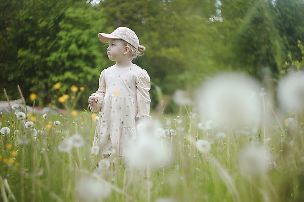 포토 JPG 해외이미지 백인 라이프스타일 공원 여자 꽃 딸 행복 감정 어린이 밭 가족 자연 놀이 휴식 건강 한명 야외 초록색 여름 햇빛 뷰티 정원 맑음 봄 기쁨 아기 달콤 작음 민들레 불기 솜털 걸음마 돌봄 천진난만 해외202309 해외포토 서양인 식물 1 계절 공공시설 컬러 컨셉 농업 관계 모션 날씨 사람 생활 태양 맛 크기 생태계 파일형식