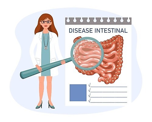 EPS 해외이미지 여자 일러스트 돋보기 건강 한명 들기 성인 건강관리 의사 창자 대장 소장 증상 성인여자한명만 해외202309 해외일러스트 1 모션 관리 사람 의료진 소화기관 장기_의학 여자한명만 성인여자만 파일형식 벡터