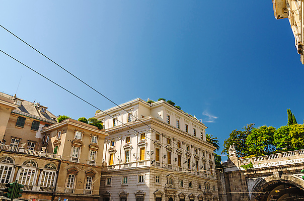포토 JPG 해외이미지 나무 전통 외관 유럽 여행 건축양식 휴가 거리 주택 미술 사람없음 야외 건물 초록색 여름 도시풍경 우주 맑음 이탈리아 궁전 수확 도시 역사 터널 클래식 도심 아치 정사각형 광장 타운 랜드마크 옛날 해외202309 해외포토 도형 식물 건축물 계절 건축 나라 길 컬러 컨셉 고건축 농업 날씨 문화예술 풍경 파일형식