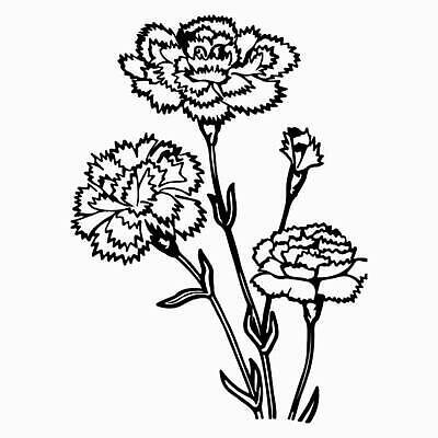 EPS 해외이미지 클립아트 식물 디자인 꽃잎 꽃 실루엣 선 꽃다발 잎 꽃무늬 패턴 일러스트 자연 미술 그래픽 장식 세트 뷰티 정원 검은색 봄 수확 벚꽃 흰색 인사 신용카드 화려 낙서 스케치 수집 문신 심볼 카네이션 그림 윤곽 초대 고립 엘리먼트 벡터 어머니의날 해외202309 해외일러스트 계절 기념일 컬러 컨셉 무늬 농업 문화예술 촬영기법 금융 예절 생태계 미국문화 파일형식