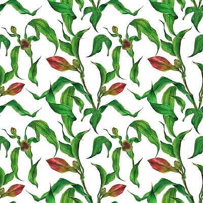 EPS 해외이미지 식물 꽃 잎 꽃무늬 패턴 일러스트 벽지 빨간색 초록색 정원 페인트 벚꽃 흰색 나뭇가지 직물 신선 개화 포장지 아로마 손그림 타이틀 고립 반복 현실 해외202309 해외일러스트 나무 컬러 무늬 포장 파일형식 벡터