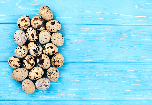 포토 JPG 해외이미지 동물 음식 백그라운드 다이어트 재료 자연 탁자 조류 부활절 건강 사람없음 목재 파란색 갈색 계란 껍질 신선 점 얼룩 아침식사 상품 작음 먹기 오브젝트 유기농 날것 내추럴 단백질 메추리 생식 식품점 해외202309 해외포토 나무 웰빙 기념일 컬러 가구 모션 상점 알 식사 크기 생태계 영양소 파일형식