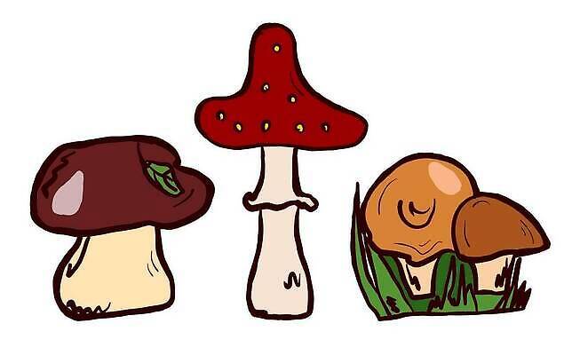 EPS 해외이미지 식물 디자인 계절 음식 백그라운드 꽃무늬 농업 채소 일러스트 재료 자연 요리 미술 장식 여름 세트 컬러풀 건강관리 식사 저녁식사 버섯 가을 흰색 신선 맛 아침식사 낙서 숲 만화 수집 먹기 시작 유기농 공상 내추럴 곰팡이 그물버섯 채식주의자 벡터 맛있는 해외202309 해외일러스트 웰빙 꽃 산업 컬러 컨셉 무늬 모션 문화예술 건강 관리 생태계 채식 파일형식