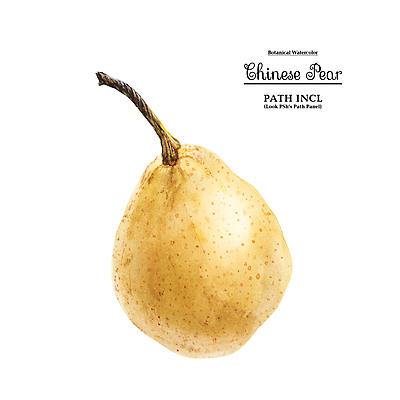 JPG 해외이미지 일러스트 사람없음 해외202309 해외일러스트 파일형식