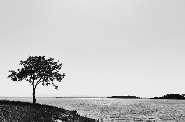 포토 JPG 해외이미지 나무 유럽 호수 바다 백그라운드 자연 휴가 휴식 흑백 파노라마 풍경 사람없음 야외 물 햇빛 맑음 이탈리아 낭만 카피스페이스 해외202309 해외포토 자연요소 식물 나라 컨셉 날씨 촬영기법 태양 공백 생태계 파일형식