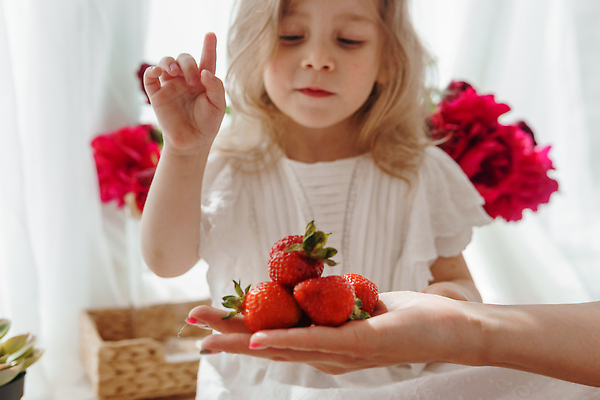 포토 JPG 해외이미지 손 원피스 여자 꽃 행복 어린이 딸기 한명 상반신 신체부위 금발 바구니 창가 모란 소녀한명만 해외202309 해외포토 식물 1 헤어스타일 옷 감정 과일 창문 사람 여자한명만 소녀만 파일형식