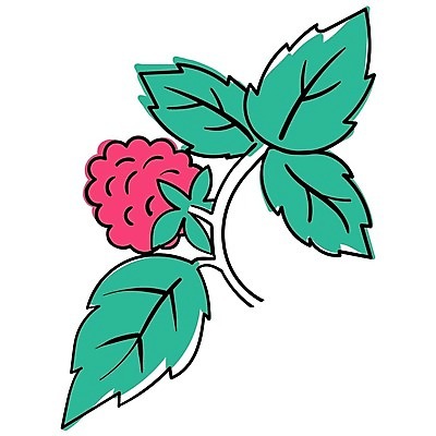 EPS 해외이미지 열매 선 음식 일러스트 장식 빨간색 초록색 검은색 수확 나뭇가지 화려 달콤 맛 낙서 흰배경 윤곽 산딸기 색칠공부 엘리먼트 타격 스타일 쓰다듬기 현실 맛있는 해외202309 해외일러스트 나무 식물 컬러 백그라운드 컨셉 농업 과일 모션 학습 흰색 색칠 파일형식 벡터