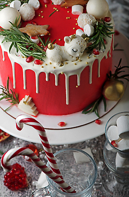 포토 JPG 해외이미지 크리스마스 겨울 잔 근접촬영 사람없음 케이크 달콤 마시멜로우 석류알 지팡이사탕 프로스팅 맛있는 해외202309 해외포토 식기 계절 기념일 뷰포인트 디저트 사탕 맛 제빵 석류 파일형식