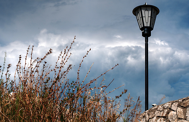포토 JPG 해외이미지 식물 자연 하늘 거리 사람없음 파란색 컬러풀 검은색 봄 흰색 등불 해외202309 해외포토 계절 컬러 조명 생태계 파일형식