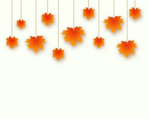 EPS 해외이미지 템플릿 디자인 계절 컬러 백그라운드 컨셉 단풍 잎 패턴 오렌지 일러스트 학교 자연 추상 미술 장식 빨간색 컬러풀 뷰티 노란색 활발 나뭇가지 신용카드 황금 질감 벡터 해외202309 해외일러스트 나무 식물 교육 무늬 과일 문화예술 금융 생태계 파일형식