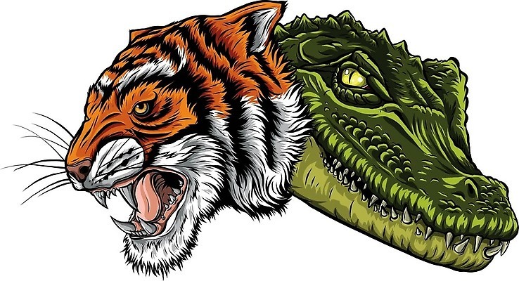 EPS 해외이미지 동물 캐릭터 디자인 행복 포스터 백그라운드 일러스트 포유류 파충류 동물원 미술 그래픽 초록색 머리 상점 공백 흰색 신용카드 발표 호랑이 플랫 사자 만화 수집 그림 싸움 상업 코믹 초대 악어 소매 승진 고립 공격적 마스코트 스타일 벡터 해외202309 해외일러스트 일러캐릭터 감정 컬러 컨셉 모션 문화예술 신체부위 금융 파일형식