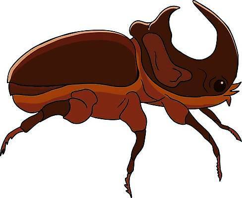 EPS 해외이미지 동물 캐릭터 손 디자인 교육 어린이 컬러 곤충 일러스트 자연 미술 성인 장식 책 정원 검은색 수확 흰색 벌레 숲 인쇄 만화 스케치 딱정벌레 심볼 그림 윤곽 페이지 공상 내추럴 벡터 해외202309 해외일러스트 일러캐릭터 농업 문화예술 사람 신체부위 생태계 파일형식