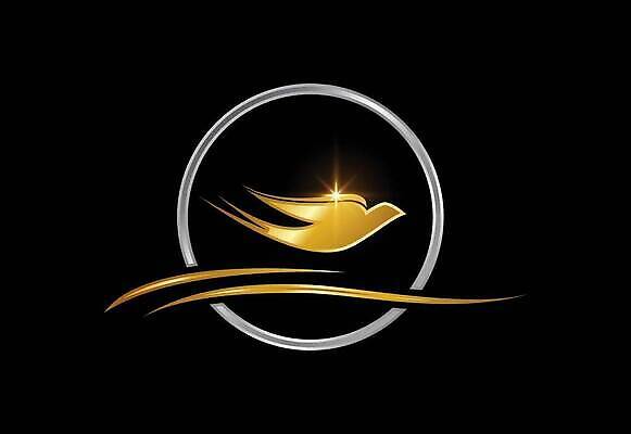 EPS 해외이미지 모양 동물 템플릿 디자인 실루엣 백그라운드 컨셉 날개 일러스트 회사 비즈니스 자연 조류 성공 추상 미술 그래픽 파란색 검은색 자유 원형 황금 심볼 깃털 사인 비둘기 신분 심플 윤곽 독수리 고립 봉황 엘리먼트 활자 벡터 미니멀리스트 해외202309 해외일러스트 도형 컬러 무늬 문화예술 촬영기법 생태계 활자판 파일형식