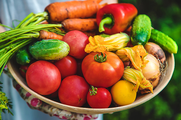 포토 JPG 해외이미지 식물 손 배너 음식 백그라운드 밭 농업 토마토 채소 자연 건강 사람 사람없음 야외 빨간색 초록색 농작물 상자 농장 정원 당근 수확 성장 신선 잡기 시장 농부 상추 나무상자 수집 먹기 가득함 유기농 원예 날것 내추럴 바이오 밭일 숙성 원예사 채식주의자 카피스페이스 해외202309 해외포토 직업 웰빙 산업 컬러 모션 뿌리채소 취미 신체부위 공백 생태계 채식 파일형식