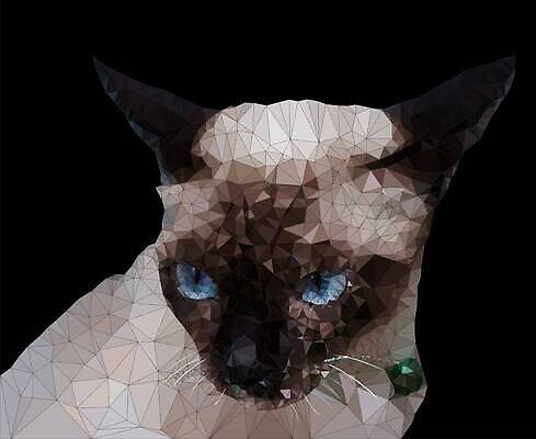 EPS 해외이미지 동물 디자인 응시 여자 얼굴 백그라운드 패턴 일러스트 태국 자연 털 그림자 그래픽 파란색 반려동물 뷰티 갈색 노란색 머리 검은색 고양이 흰색 점 삼각형 큼 물개 피부 육식동물 모자이크 기하학 고립 폴리곤 벡터 순혈 해외202309 해외일러스트 도형 시선 아시아 컬러 무늬 포유류 사람 신체부위 바다동물 크기 생태계 파일형식