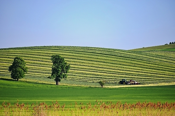 포토 JPG 해외이미지 식물 산업 지구 음식 밭 농업 자연 하늘 건조 옥수수 사람없음 초록색 물 농작물 농장 농경지 환경 농사 기계 흙 봄 장비 수확 성장 시골 업무 농부 땅 밀 먼지 트랙터 밭일 생태학 쟁기 화학물질 세련 해외202309 해외포토 자연요소 직업 계절 교육 컬러 곡류 작업 화학 농기계 생태계 특수차량 파일형식
