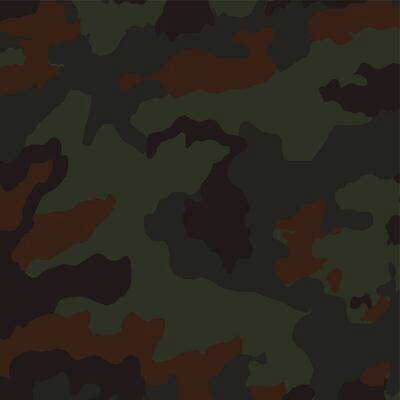 EPS 해외이미지 디자인 옷 컬러 백그라운드 유니폼 잎 패턴 곡선 일러스트 벽지 추상 미술 야외 초록색 갈색 유행 검은색 어둠 힘 직물 점 클래식 숲 인쇄 천 질감 군용 싸움 전쟁 사냥 해군 육군 변장 병정 숨김 삼림지대 특공대 스타일 벡터 반복 해외202309 해외일러스트 식물 선 컨셉 무늬 모션 문화예술 군대 특수부대 파일형식