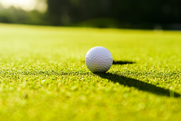 포토 JPG 해외이미지 스포츠 백그라운드 밭 골프 공 골프장 놀이 골프공 잔디 취미 사람없음 초록색 일몰 장비 골프채 게임 흰색 깃발 목표 강의 철 클럽 슛 골프티 넣기 때리기 페어웨이 놓기 해외202309 해외포토 식물 컬러 컨셉 농업 스포츠시설 모션 골프용품 구기 노을 파일형식