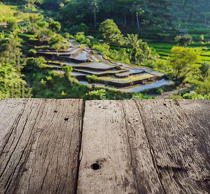 포토 JPG 해외이미지 나무 식물 아시아 문화 지구 음식 여행 잎 농업 곡선 자연 밥 산 손바닥 동양인 풍경 사람없음 야외 초록색 물 농작물 뷰티 농장 일출 환경 계곡 일본 중국 수확 성장 시골 낟알 땅 언덕 원예 발리 인도네시아 캄보디아 말레이시아 경영 논밭 밭일 제어 해외202309 해외포토 자연요소 손 나라 산업 선 컬러 섬 밭 비즈니스 논 인종 취미 노을 생태계 파일형식