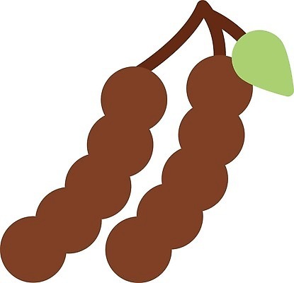 EPS 해외이미지 모양 음식 백그라운드 잎 채소 과일 일러스트 재료 자연 건강 동양인 그래픽 갈색 주스 껍질 신선 조미료 달콤 맛 만화 유기농 고립 이국적 채식주의자 벡터 맛있는 해외202309 해외일러스트 식물 웰빙 음료 컬러 컨셉 인종 생태계 채식 향미료 파일형식