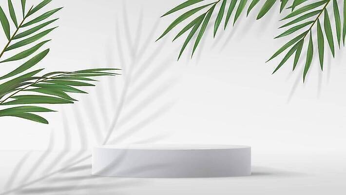 EPS 해외이미지 식물 템플릿 디자인 배너 포스터 백그라운드 컨셉 잎 일러스트 추상 실내 그래픽 장식 초록색 야자수 뷰티 유행 3D 우주 화장품 공백 무대 발표 상품 수집 오브젝트 진열장 장면 패키지 기하학 단상 구성 파스텔톤 프리미엄 목업 벡터 미니멀 비어있는 해외202309 해외일러스트 나무 컬러 무늬 내부 디지털합성 파일형식