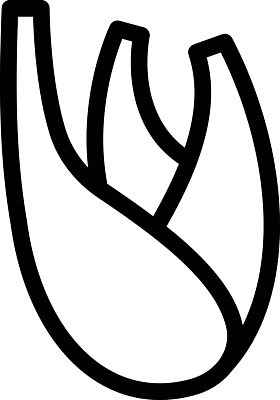 EPS 해외이미지 식물 음식 잎 채소 일러스트 재료 건강 요리 초록색 주방 신선 조미료 맛 스케치 허브 심볼 향신료 유기농 윤곽 뿌리 비타민 내추럴 고립 채식주의자 회향 벡터 비건 해외202309 해외일러스트 웰빙 컬러 컨셉 미술 채식 영양소 향미료 파일형식