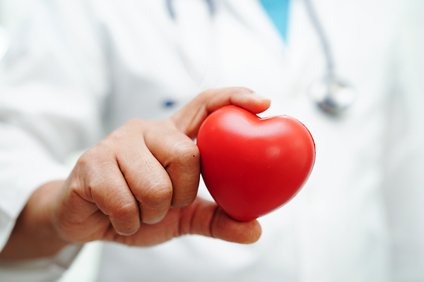 포토 JPG 해외이미지 직업 손 여자 행복 청진기 주택 건강 병원 사랑 사람 동양인 성인 사람없음 치료 빨간색 약 건강관리 힘 놀이방 환자 간호사 의사 잡기 질병 사인 보험 돌봄 심장병 옛날 지원 헬프 자선단체 해외202309 해외포토 감정 컬러 의학 의료기기 모션 관리 인종 건물 신체부위 의료진 도움 그룹 자선 파일형식