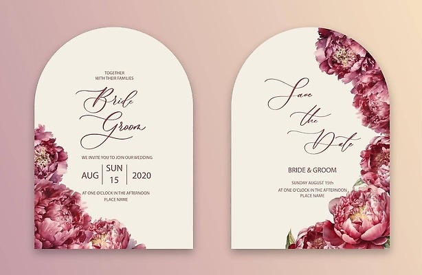 EPS 해외이미지 분홍색 결혼 일러스트 프레임 사람없음 세트 축하 분위기 감성 모란 카피스페이스 해외202309 해외일러스트 꽃 컬러 컨셉 이벤트 공백 파일형식 벡터