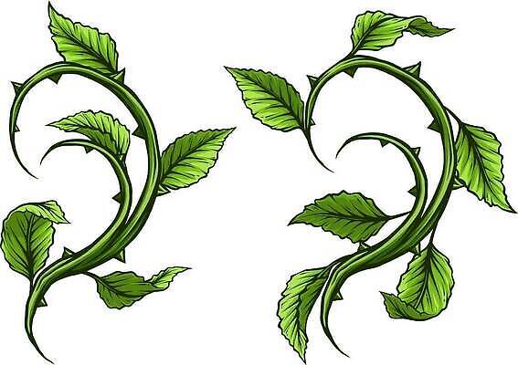 EPS 해외이미지 식물 디자인 꽃 실루엣 선 줄기 백그라운드 잎 꽃무늬 일러스트 자연 추상 그림자 미술 그래픽 장식 초록색 세트 장미 수확 흰색 나뭇가지 가시 만화 문신 심볼 묘사 복고 날카로움 윤곽 스파이크 나누기 고립 엘리먼트 벡터 디테일 해외202309 해외일러스트 나무 컬러 무늬 농업 문화예술 촬영기법 생태계 파일형식