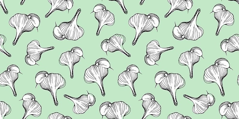 EPS 해외이미지 식물 음식 분홍색 백그라운드 패턴 농업 다이어트 채소 일러스트 재료 벽지 양파 건강 마늘 요리 그래픽 검은색 수확 직물 양념 낙서 인쇄 먹기 향신료 유기농 질감 매움 윤곽 손그림 향 비타민 밭일 숙성 채식주의자 벡터 비건 해외202309 해외일러스트 웰빙 산업 컬러 무늬 모션 맛 채식 영양소 향미료 파일형식