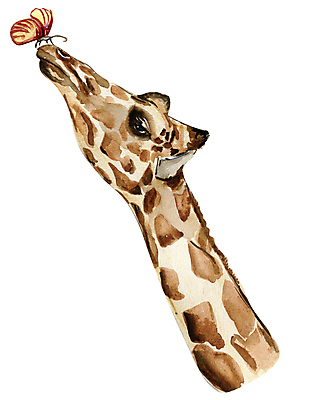 JPG 해외이미지 한마리 나비 일러스트 사람없음 기린 해외202309 해외일러스트 1 곤충 포유류 파일형식