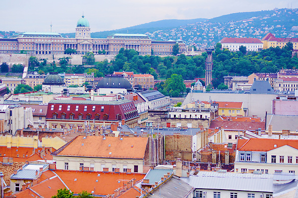 포토 JPG 해외이미지 해외 유럽 도로 여행 자동차 풍경 사람없음 건물 목재 여름 도시풍경 자전거 운전 도시 역사 헝가리 동유럽 국회 부다페스트 서쪽 정치 해외202309 해외포토 나무 건축물 계절 나라 길 육상교통 재료 교통시설 모션 바이크 방향 파일형식
