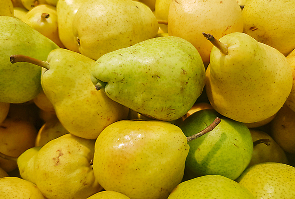 포토 JPG 해외이미지 계절 음식 백그라운드 농업 다이어트 과일 자연 건강 사람없음 초록색 여름 노란색 상점 정원 수확 가을 나뭇가지 신선 그룹 달콤 정상 계산대 시설 유기농 비타민 빛망울 내추럴 바이오 숙성 정물화 채식주의자 맛있는 해외202309 해외포토 나무 웰빙 산업 컬러 빛 맛 그림 생태계 채식 영양소 파일형식