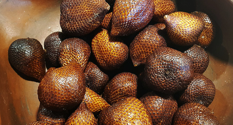 포토 JPG 해외이미지 길 클리핑패스 음식 백그라운드 다이어트 과일 자연 디저트 건강 손바닥 동양인 사람없음 옆모습 빛 야자수 갈색 흰색 신선 그룹 달콤 자르기 유기농 질감 날것 인도네시아 내추럴 강렬 고립 숙성 이국적 채식주의자 해외202309 해외포토 나무 손 웰빙 아시아 뷰포인트 컬러 모션 인종 맛 생태계 채식 파일형식