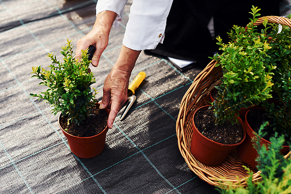 포토 JPG 해외이미지 백인 여자 노년 행복 화분 한명 취미 야외 옆모습 실버라이프 정원 봄 기쁨 하반신 잡기 원예 원예식물 원예용품 노인여자한명만 해외202309 해외포토 서양인 식물 1 라이프스타일 계절 감정 뷰포인트 생활용품 모션 사람 성인 여자한명만 노인여자만 파일형식