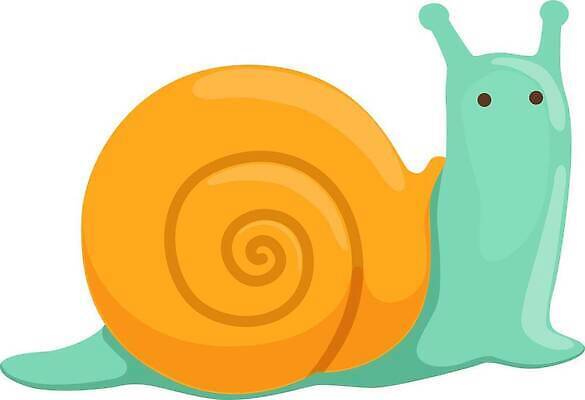 EPS 해외이미지 동물 캐릭터 디자인 행복 얼굴 야생동물 컬러 포즈 백그라운드 일러스트 자연 주택 미술 미소 초록색 컬러풀 정원 봄 껍질 흰색 유머 작음 만화 즐거움 오브젝트 그림 달팽이 코믹 공상 느림 기어가기 고립 동물상 민달팽이 벡터 끈적임 해외202309 해외일러스트 일러캐릭터 계절 감정 모션 문화예술 연체동물 표정 건물 신체부위 조형물 크기 생태계 파일형식 달팽이_동물