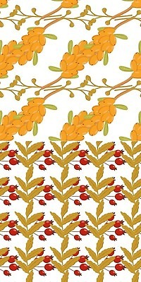 EPS 해외이미지 식물 계절 열매 음식 꽃무늬 과일 일러스트 자연 건강 빨간색 뷰티 약 귀여움 환경 가을 나뭇가지 원형 숲 허브 즐거움 오브젝트 에코 유기농 원예 비타민 고립 엘리먼트 디톡스 맛있는 해외202309 해외일러스트 도형 나무 웰빙 꽃 감정 컬러 컨셉 무늬 의학 취미 생태계 영양소 파일형식 벡터