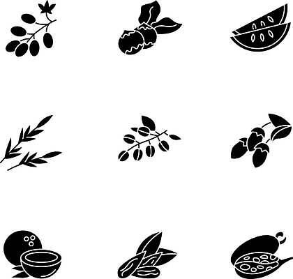 EPS 해외이미지 클립아트 식물 디자인 실루엣 컨셉 과일 일러스트 재료 포도 씨앗 세트 픽토그램 검은색 웹 견과류 껍질 나뭇가지 플랫 기름 멜론 수집 허브 가득함 심볼 코코넛 아몬드 팩 로즈메리 고립 고체 돌봄 상형문자 엘리먼트 이국적 칼라하리 항목 활자 벡터 해외202309 해외일러스트 나무 문자 음식 컬러 인터넷 모션 촬영기법 화장품 사막 활자판 파일형식