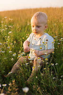 포토 JPG 해외이미지 식물 라이프스타일 꽃 행복 야생동물 어린이 꽃다발 밭 자연 한명 사람 앉기 소년 뒷모습 초록색 금발 햇빛 뷰티 노란색 걷기 환경 봄 산책 기쁨 육아 자유 아기 허브 데이지 내추럴 알레르기 걸음마 캐모마일 해외202309 해외포토 동물 1 헤어스타일 계절 남자 감정 뷰포인트 컬러 컨셉 농업 모션 휴식 생활 태양 질병 생태계 파일형식
