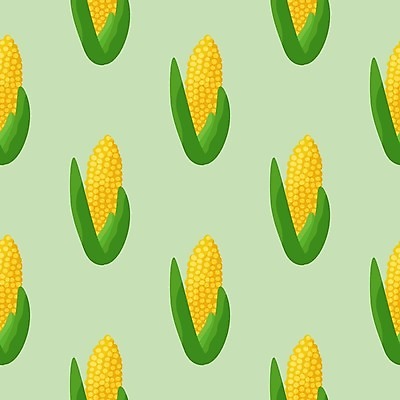 EPS 해외이미지 패턴 일러스트 옥수수 사람없음 초록배경 해외202309 해외일러스트 백그라운드 무늬 곡류 초록색 파일형식 벡터