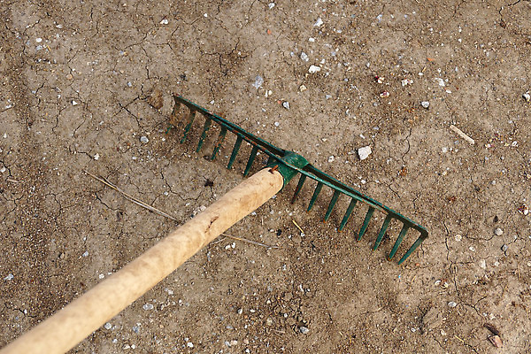 포토 JPG 해외이미지 나무 계절 잎 농업 자연 함께함 손잡이 사람없음 목재 환경 금속 정원 장비 공구 업무 원예 갈퀴 뒤뜰 철강 해외202309 해외포토 식물 산업 컨셉 재료 재질 취미 도구 작업 생태계 파일형식